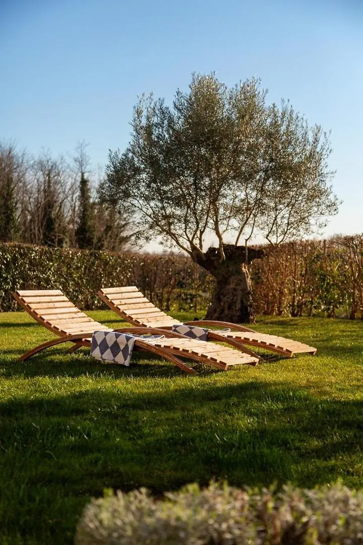 New! Villa Corinne With 42 M2 Pool, Sauna Stuti