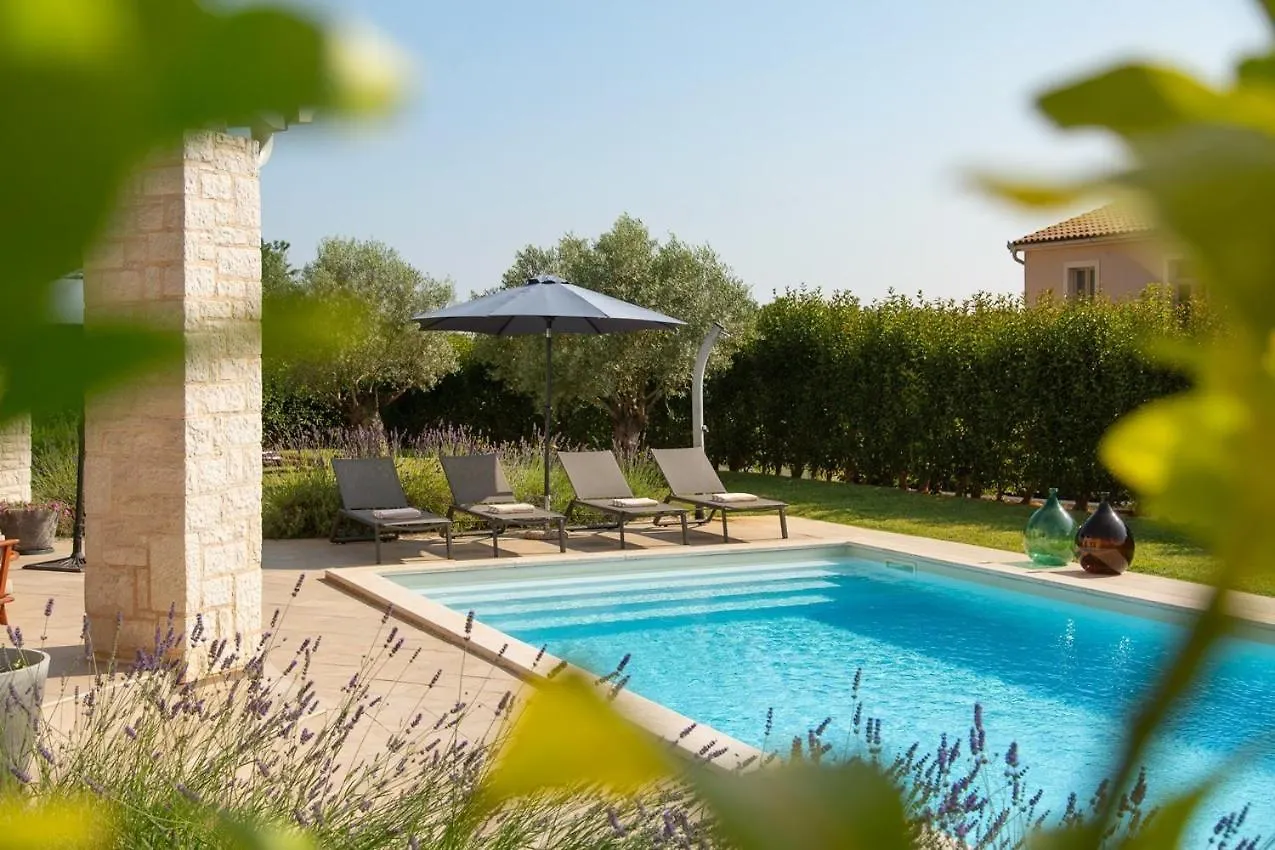 New! Villa Corinne With 42 M2 Pool, Sauna Stuti